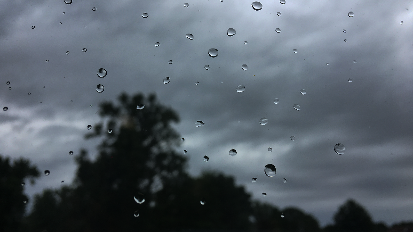 Alerte orange en BW : des rafales jusqu'à 100km/h par endroits