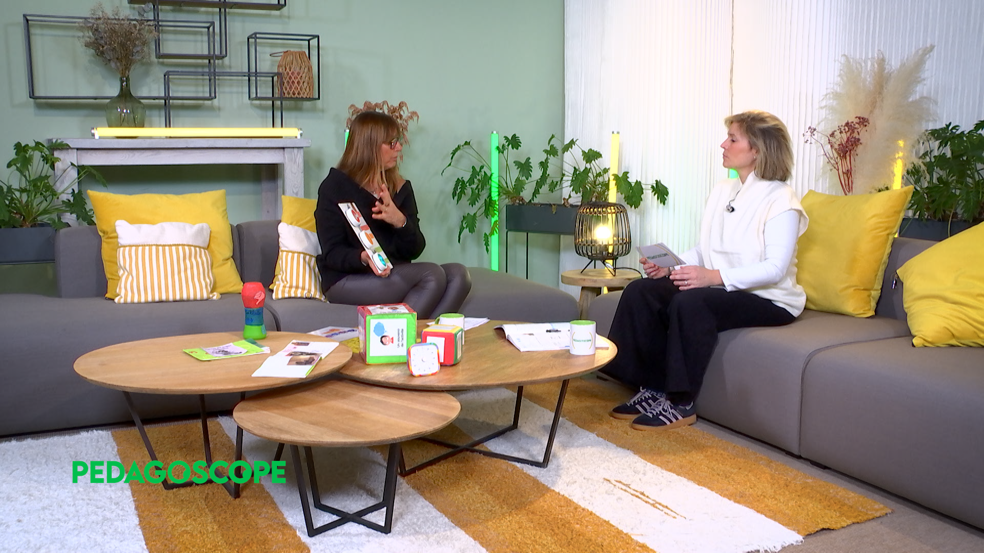 Pedagoscope - La metacognition