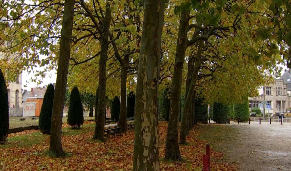 Repris comme "remarquables", les arbres du parc des Récollets sont sauvés