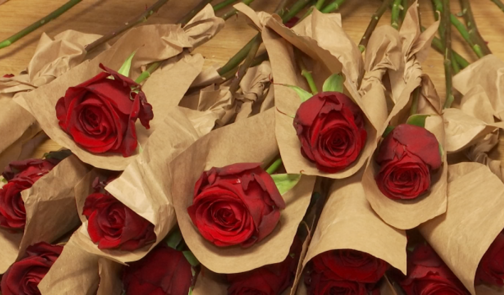 Saint Valentin : Le Sacré Coeur de Nivelles se met au vert pour les roses 