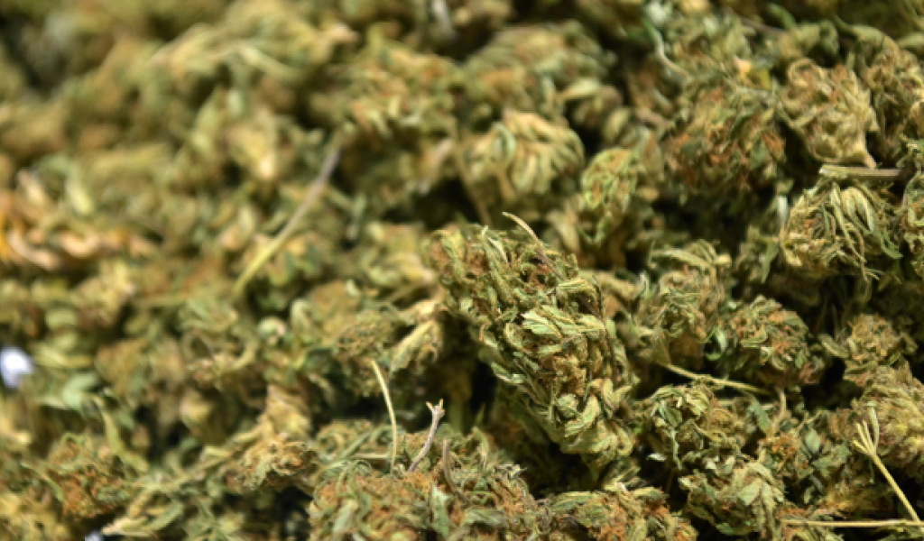 233.000 euros et 30 kg de cannabis saisis en Brabant wallon