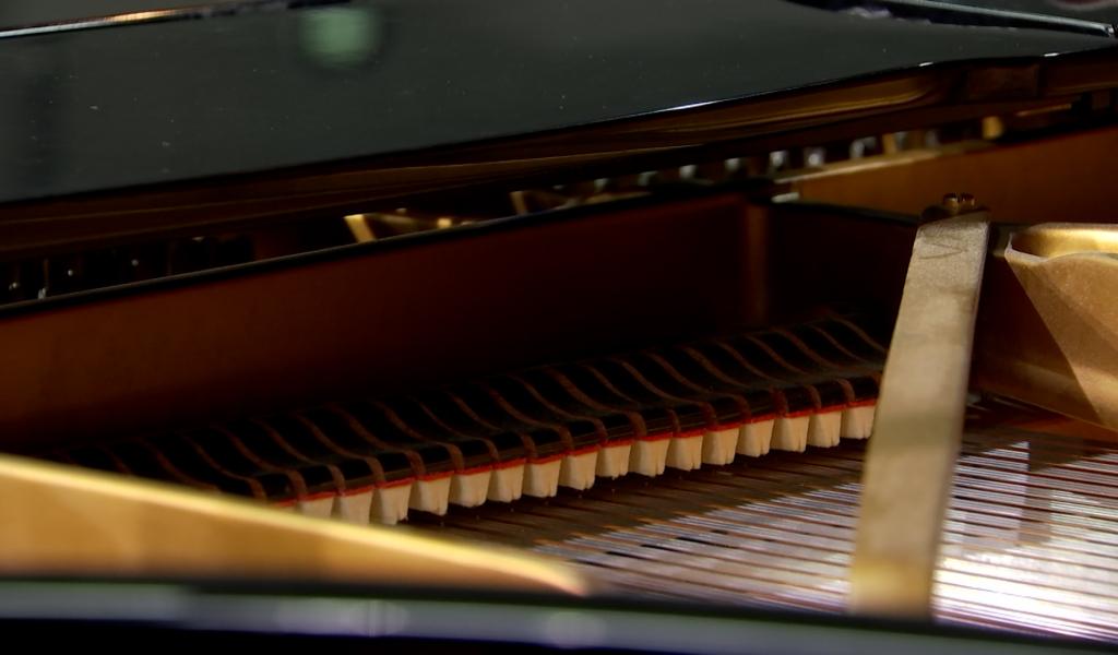 L'aisbl Bell'Arte propose des rencontres musicales très appréciées