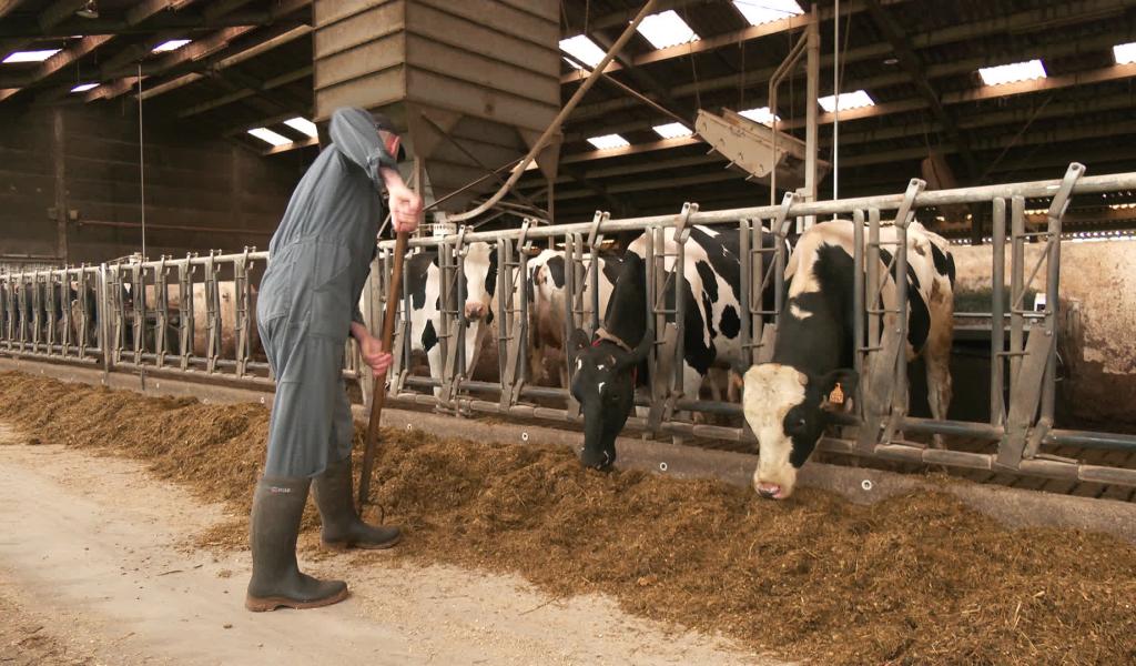 Incourt : Les agriculteurs face à la crise du secteur du lait
