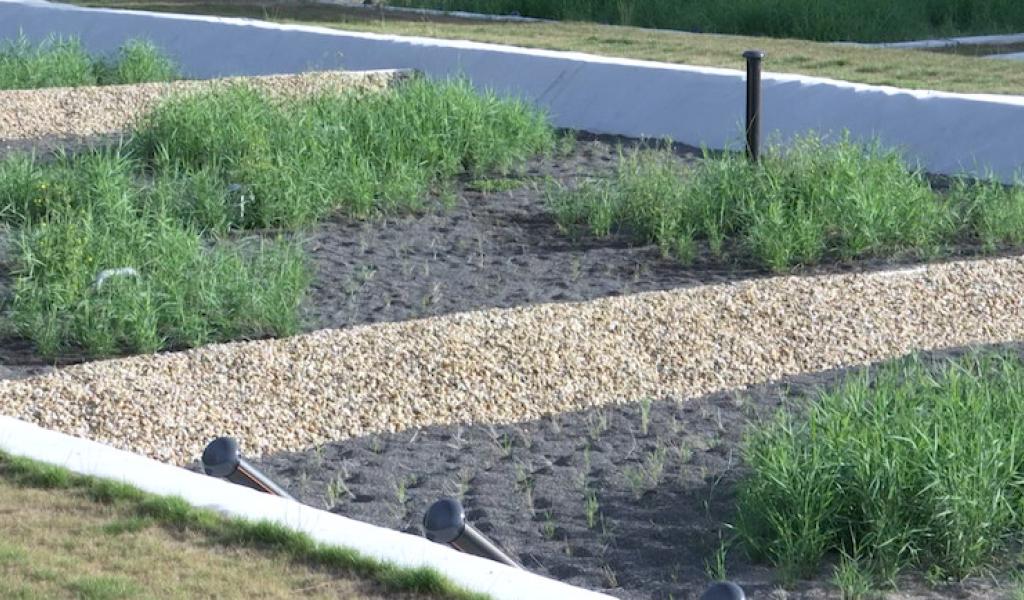 Haut-Ittre : une station d'épuration végétalisée étonnante