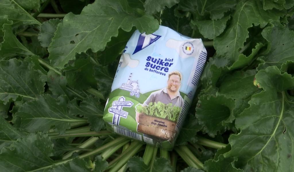 Nicolas Spirlets, betteravier de Jandrain, devient le visage du sucre belge