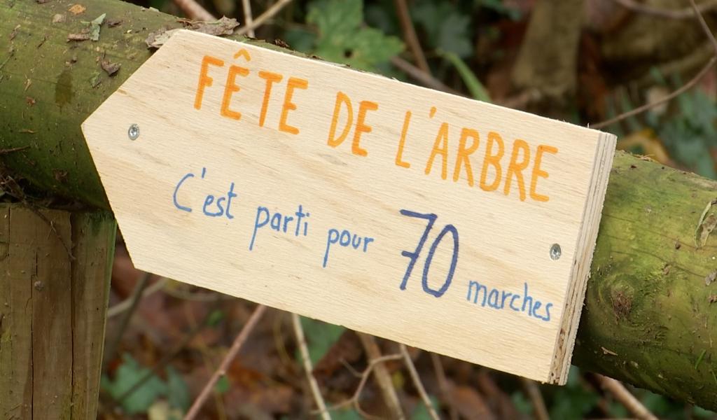 Villers-la-Ville : mieux comprendre le GAL grâce à la Fête de l'Arbre