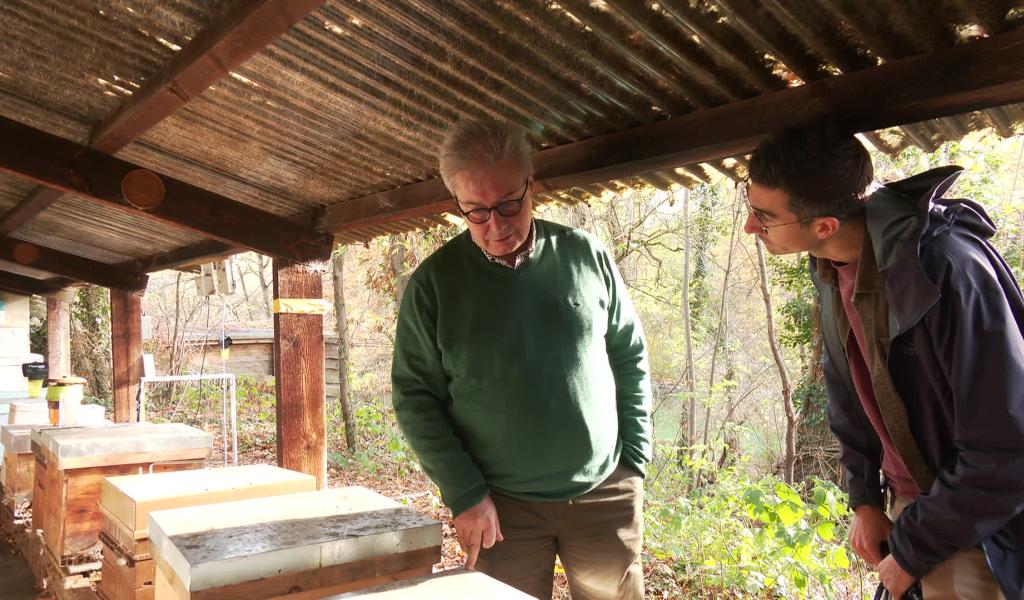 Pierre Hanotier, un apiculteur amateur au miel d'or
