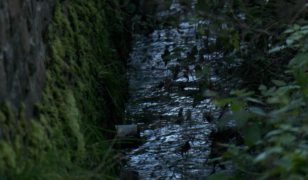 Pollution aux hydrocarbures à Tourinnes-La-Grosse