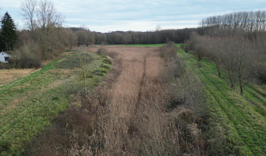 Beauvechain : 1,5 million d'euros pour agrandir le bassin d'orage des Forges