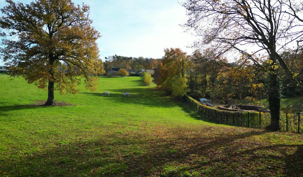 Brab' en Nature #12 : La cabane et la drink du Grand Chêne