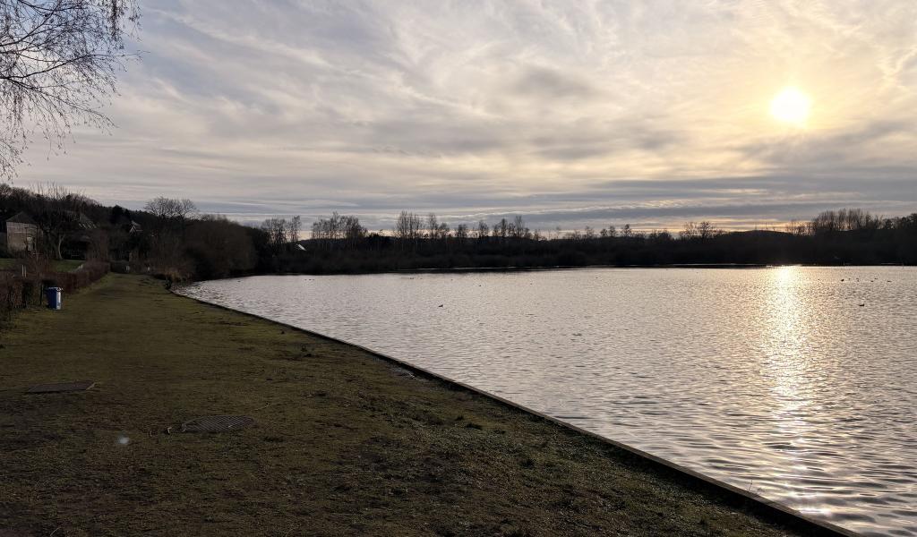 Suspicion de grippe aviaire à l’étang de Pécrot : l’accès temporairement interdit