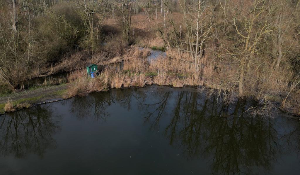 Grippe aviaire confirmée à l’étang de Pécrot : l’accès interdit durant 1 mois