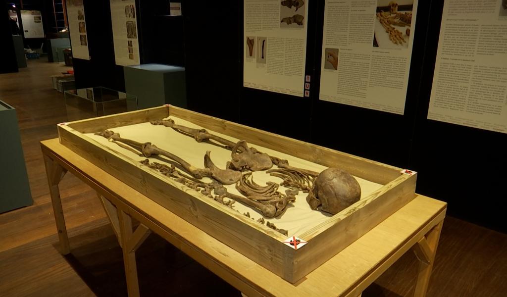 Huppaye : les secrets de trois ans de fouilles révélés