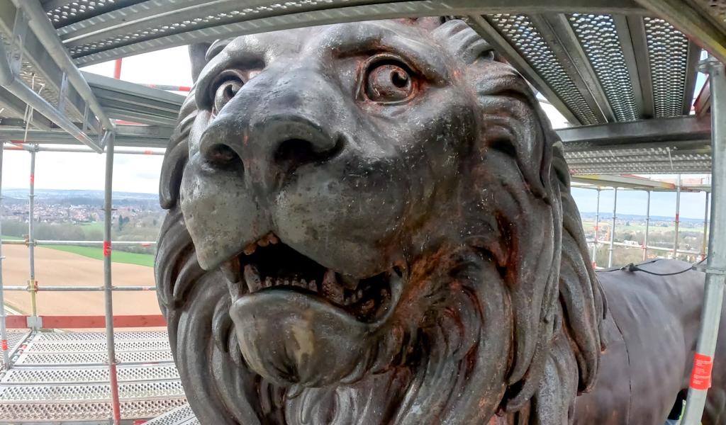 Butte du lion : l'animal nous dévoile ses entrailles