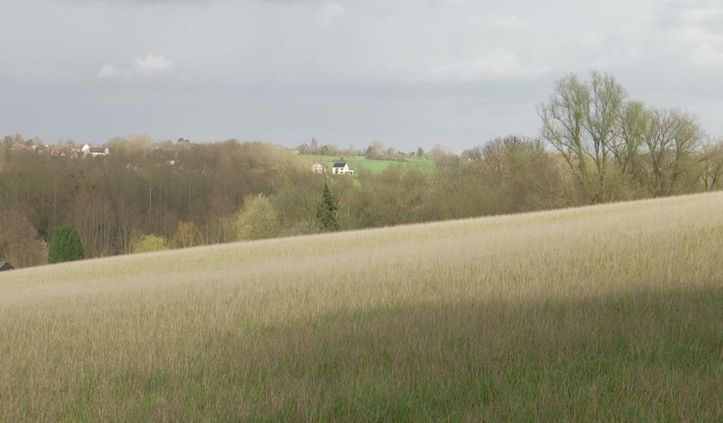 Ittre lance un appel pour l’entretien de parcelles communales