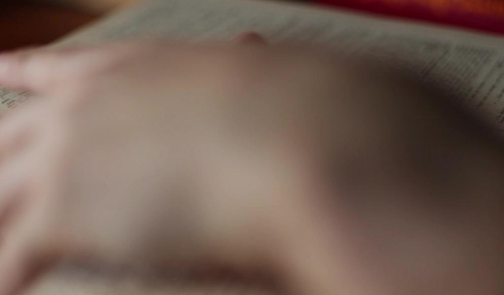 Michel Cornelis - Les éclats  du Graal