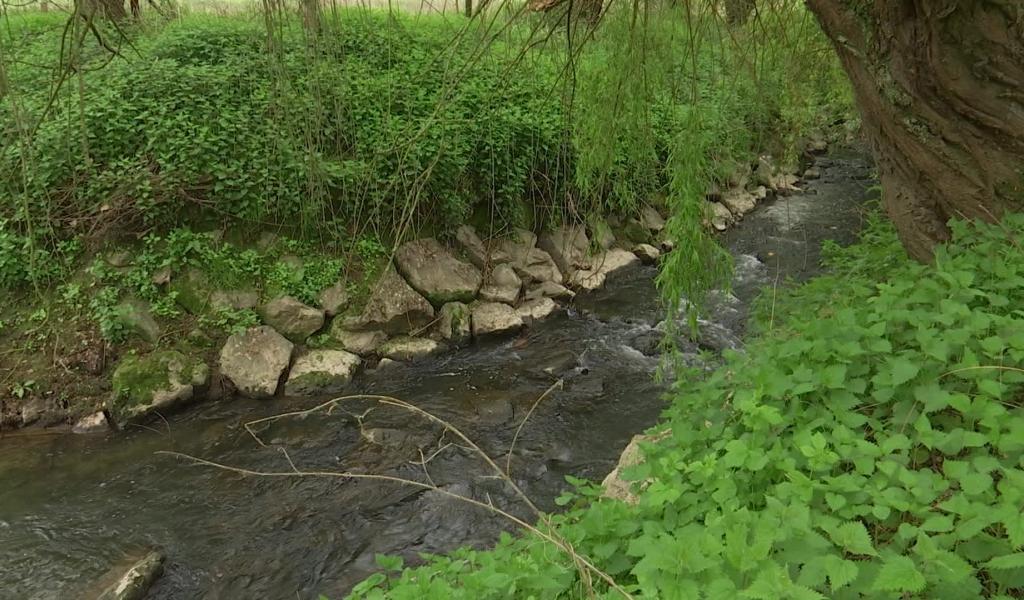 Avoir une rivière dans son jardin, c’est devenir gardien de l’eau