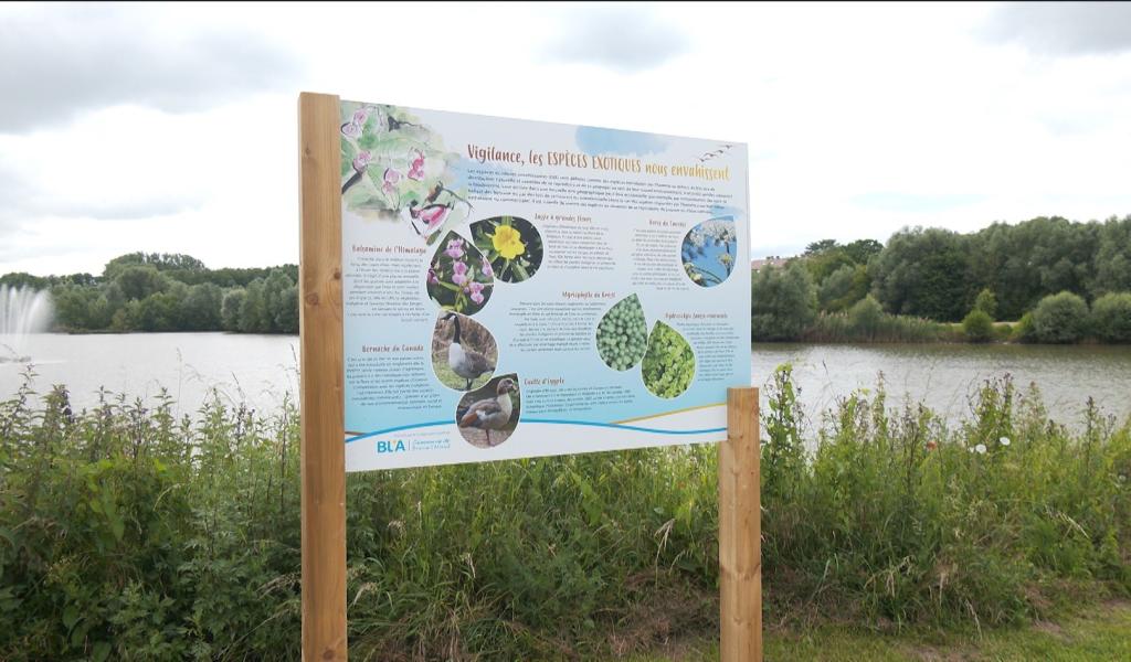 Parc du Paradis : six panneaux pour mieux découvrir la biodiversité à Braine-l'Alleud