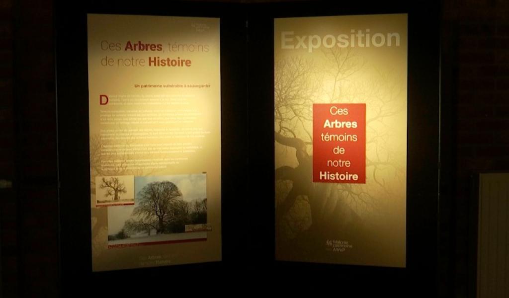 Waterloo : quand les arbres racontent l'histoire