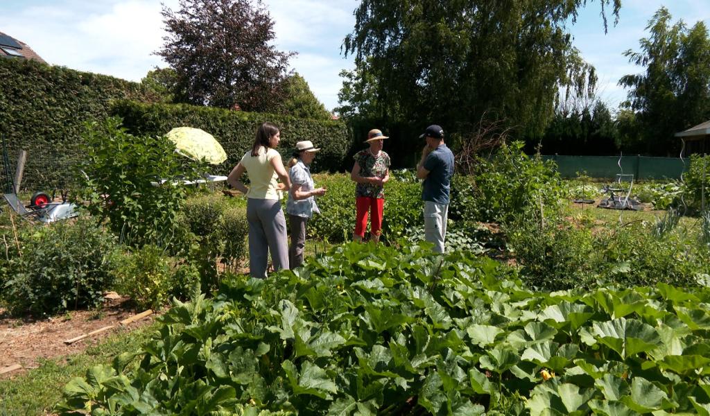 Lillois : lancement réussi pour les Potagers partagés du Callois