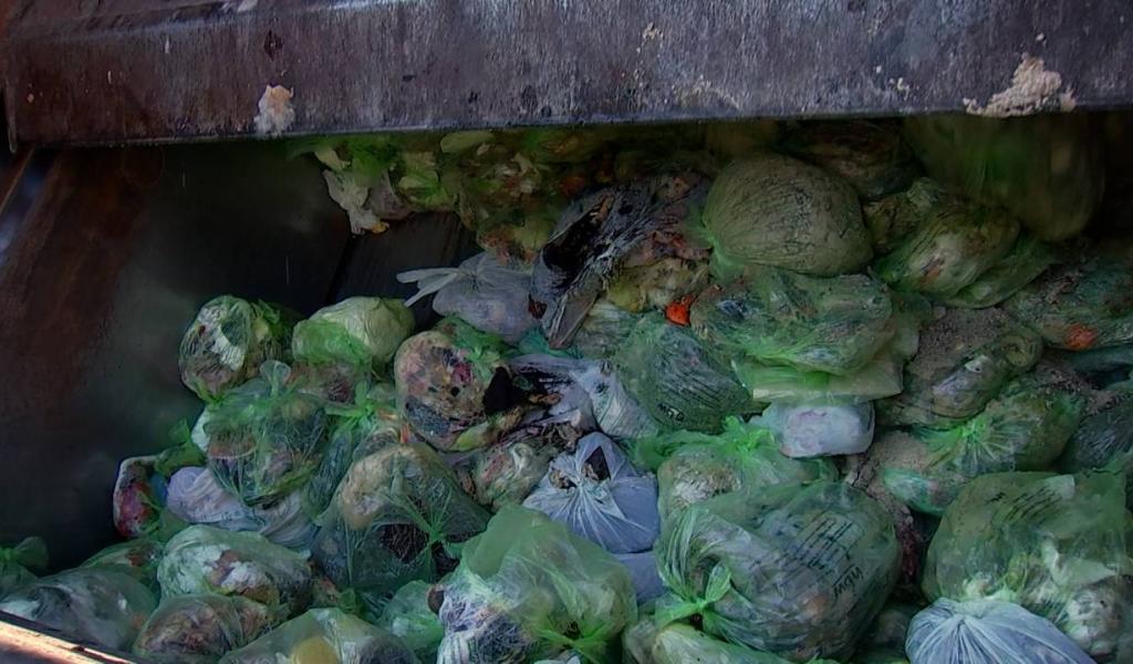 Les Colibris 20 : Le sac poubelle vert