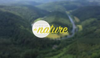 Curieux de nature - 14/04/2024