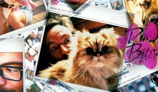 Pense bête - 29/04/2024