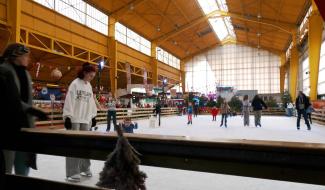 Les Fééeries stéphanoises enchantent le PAM Expo jusqu'au 7 janvier