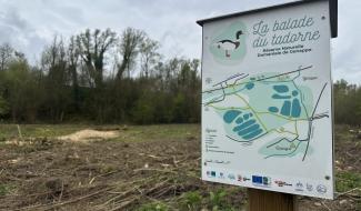 Des arbres abattus sur le site de la réserve naturelle de Genappe