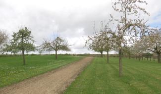 Jodoigne : le fruiticum se dynamise et se renouvelle !