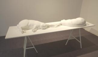 Hommage aux femmes artistes à la galerie Plateforme