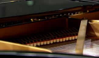 L'aisbl Bell'Arte propose des rencontres musicales très appréciées