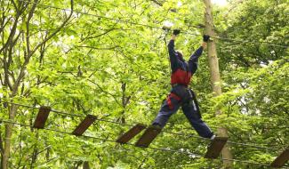 "L'arbre dans tous ses états", un parcours-photos pour les 20 ans d'Aventure Parc