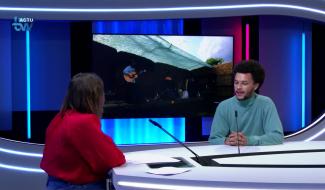 Tanguy Kamp - Festival Music'Ô Champs