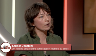 Larissa Joachim - Un fruit ne peut éclore sans l'action répétée du soleil