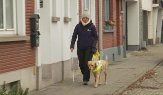 La fondation Bâtisseurs d'Étoiles soutient l'association Scale Dogs