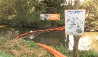 Retrait du barrage flottant sur la Dyle : plus propre d'année en année