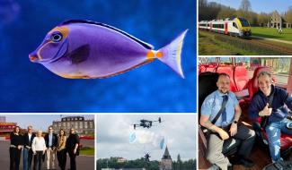 Police en parachute, plage naturiste... ces poissons qui ont nagé sur la toile