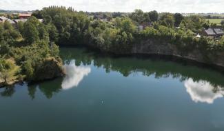 Un couple de dauphins introduit dans la carrière d'Opprebais