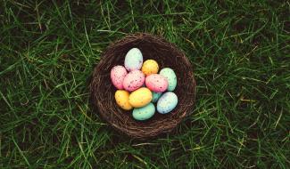 Pâques : où partir à la chasse aux œufs en Brabant wallon ?