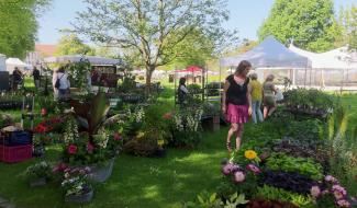 Lasne : la fête des plantes et du jardin à l'Abbaye d'Aywiers