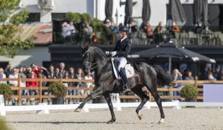 Coupe des Nations de dressage : le Brabant wallon porte la Belgique vers la victoire !