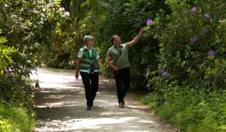 Forêt de Soignes : la vie recensée par tous