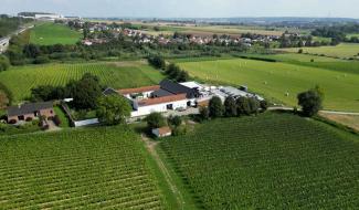 Succès-story du Domaine W : rentable, 8 emplois, bio, vins médaillés
