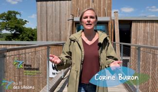 Au fil des saisons #1