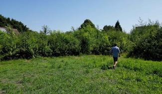 Que devient la micro-forêt Miyawaki plantée en 2020 à Braine-l'Alleud  ?