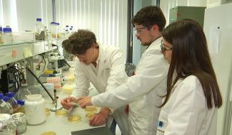 Louvain-la-Neuve : des étudiants veulent recréer les sucres du lait maternel