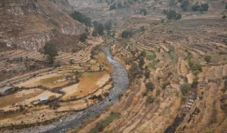 Emission spéciale : Le Condor, l'oeil du monde