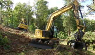 Rixensart : 2 hectares déboisés pour retrouver le biotope originel de landes à bruyère