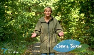 Au fil des saisons #2